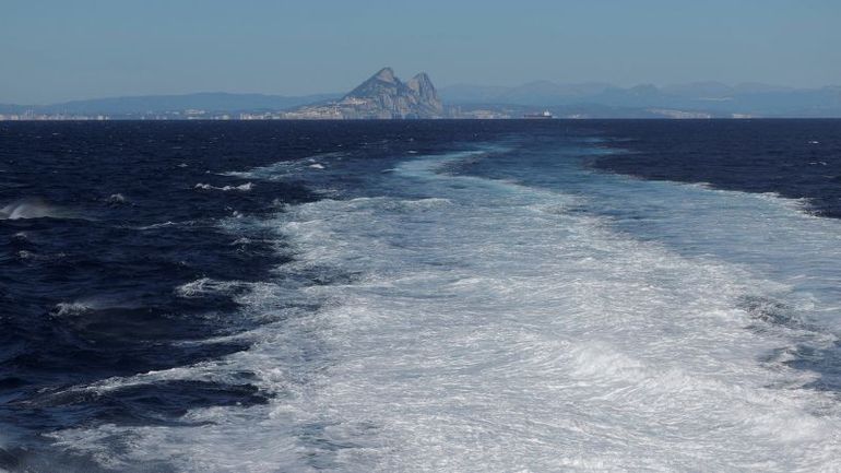 Orcas Attack Sailing Yacht in Moroccan Waters