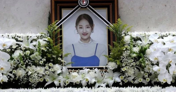 Bí Mật Của Rượu: Nguyên Nhân Gây Ngộ Độc và Cách Uống Rượu An Toàn