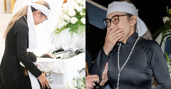 Tận Lực - Bức Tranh Tình Thương và Nước Mắt Trên Nền Đen