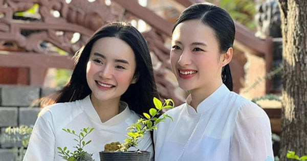 Cuộc Chiến Trên Mạng Xã Hội: Bí Mật Đằng Sau Vụ Tấn Công Hacker Và Sự Thật Đau Lòng của Gia Đình Phương Trinh