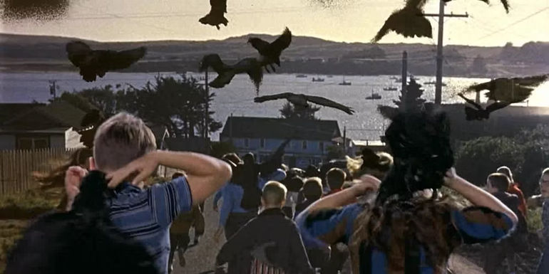 Children running as they are attacked by birds in The Birds