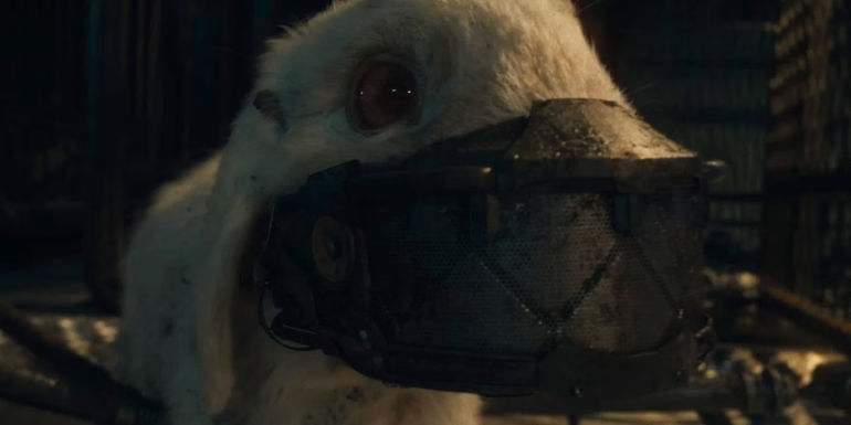 A closeup of Floor the Rabbit in Guardians of the Galaxy Vol 3