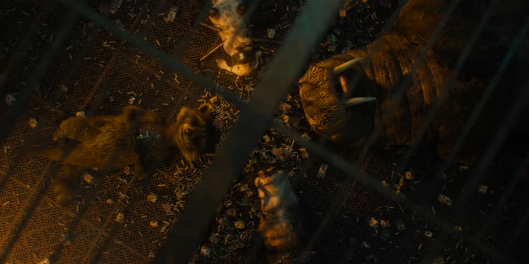 Rocket, Lylla, Teefs, and Floor in Guardians of the Galaxy Vol. 3