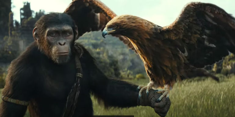 Noa-in-Kingdom-of-the-Planet-of-the-Apes