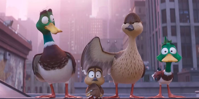 image of mallard family standing in the middle of a city street in Migration