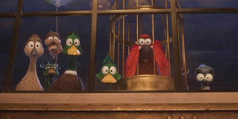 image of mallard family with delroy & chump in Migration