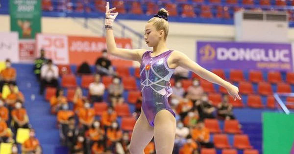 Vụ ăn chặn tiền thưởng ở đội tuyển TDDC quốc gia: Sự thật và hậu quả