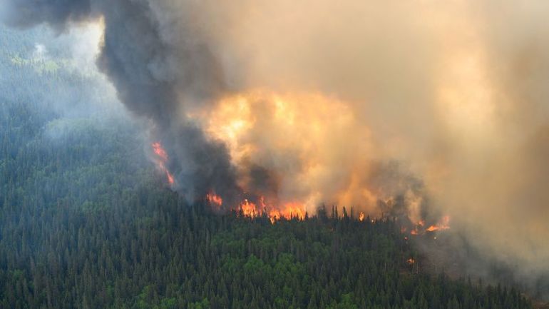 Canadian Man Pleads Guilty to Starting Wildfires After Posting Conspiracy Theories