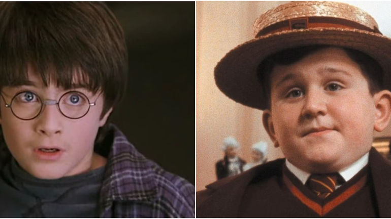 Unveiling the Untold Bond: Harry Potter's Dynamic Relationship with Dudley