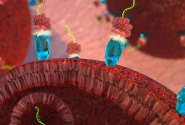 Công nghệ đột phá: Phương pháp hiệu quả chống lại sự phát triển của ung thư