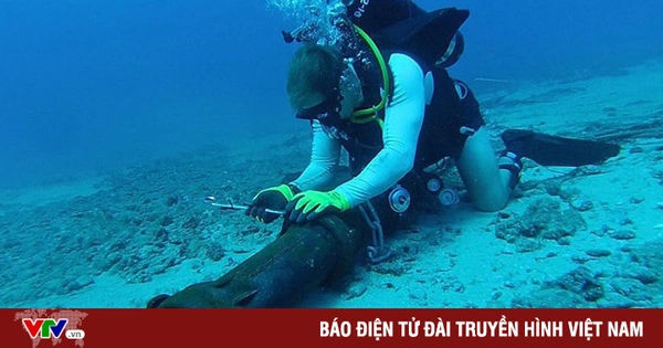Tuyến cáp quang biển AAE-1: Thông tin mới nhất về sự cố và giải pháp