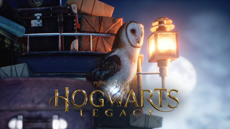 The Ultimate Multiplayer Experience: How Hogwarts Legacy Sets the Bar Higher