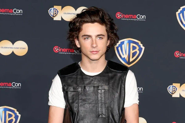 TImothee Chalamet's Most Daring Red-Carpet Looks From the Last 8 Years