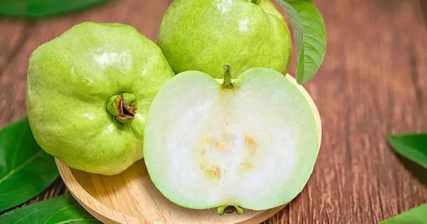 Loại quả vừa giòn ngọt, giàu vitamin C hơn gấp 4 lần cam, có lợi cho tiêu hóa, tim mạch và ngừa ung thư