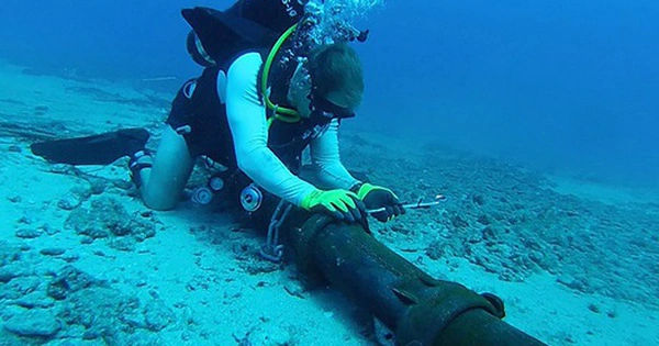 Lịch sửa chữa và bảo trì hệ thống cáp quang biển quốc tế AAE-1