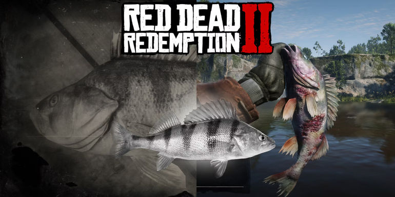 Red Dead Redemption 2: Ultimate Guide to Locating and Capturing Perch