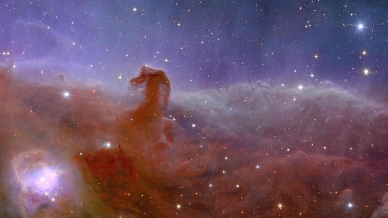 Euclid Telescope Captures Revealing Glimpses of the Cosmos