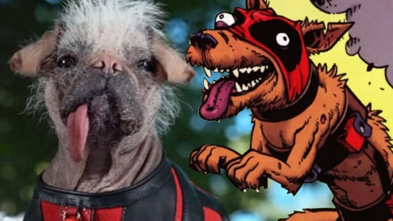 Deadpool 3 Unveils Dogpool: Ryan Reynolds Introduces the Strangest Addition to the Cast