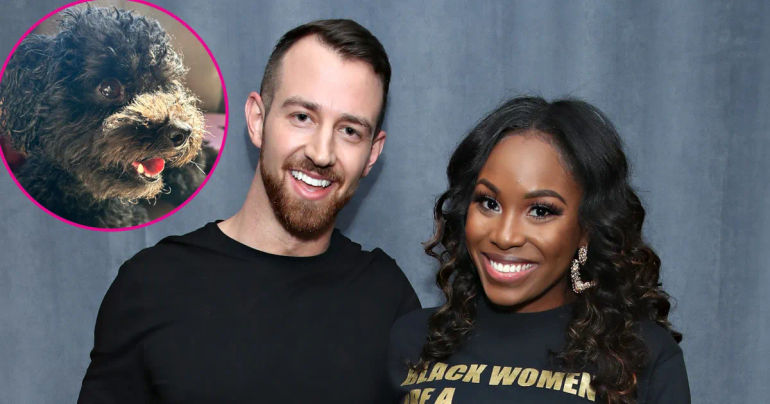 Famous Duos That Welcomed Fur Babies into Their Homes: Machine Gun Kelly and Megan Fox, Nick Jonas and Priyanka Chopra, and Beyond