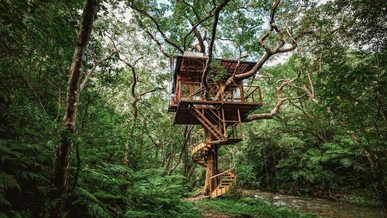 A Treehouse That Epitomizes Elegance: Japan's Finest Accommodation
