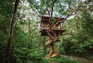 A Treehouse That Epitomizes Elegance: Japan's Finest Accommodation