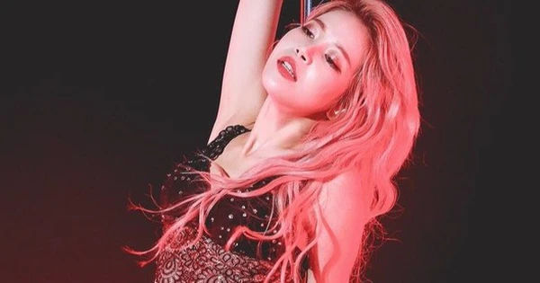 Chi phải hủy đêm nhạc có giá vé 15 triệu đồng ở Hà Nội, ai sẽ chịu thiệt hại?