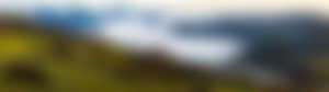Landscape,Forest,Mist,Fall,HD Wallpaper