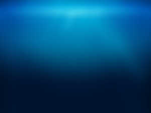 Underwater,Sea,Water,HD Wallpaper