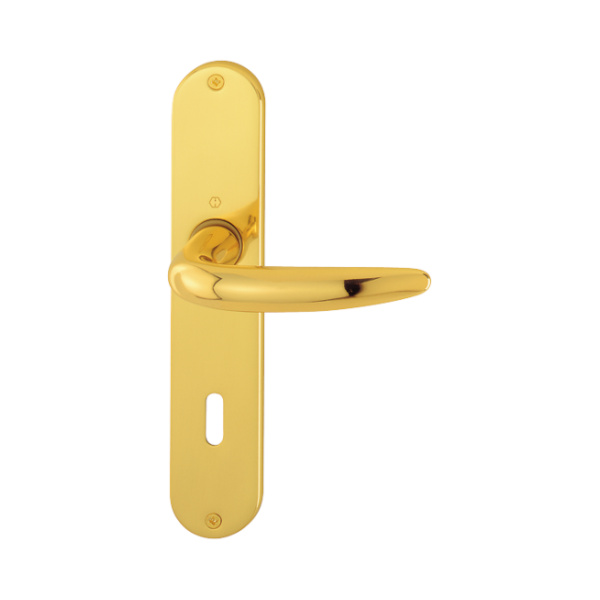 Atlanta - Komplet klamek z mosiądzu na długim szyldzie, złoty polerowany F71