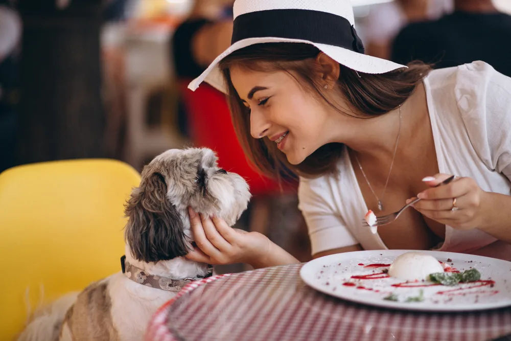 Dog and Restaurant: Unleashing Success in Challenging Times