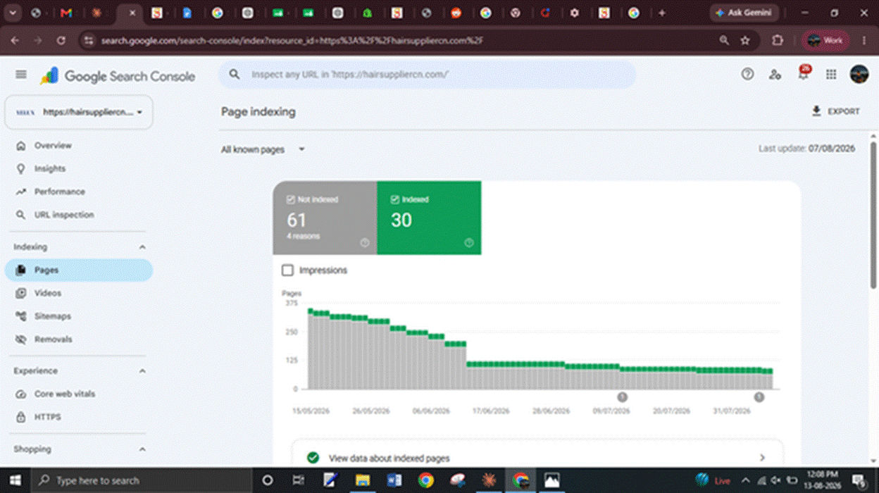 Page-Indexing-