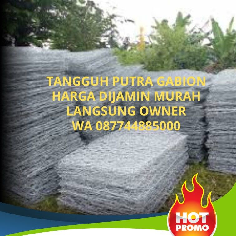  Bocor Alus dari Banda Aceh: Kawat Bronjong Murah Langsung dari Sumbernya! Rahasia Bronjong Banda Aceh Terungkap: Harga Miring, Amanah Nomor Satu! STOP! Jangan Beli Bronjong Dulu Sebelum Cek WA Owner Banda Aceh Ini! Banda Aceh Gempar! Kawat Bronjong Harga Pabrik, Langsung dari Tangan Pertama! 