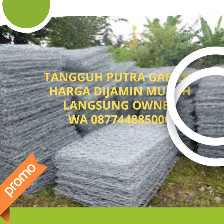    Ssst... Kawat Bronjong Subulussalam Harga Owner Langsung, Amanah Pula!   Subulussalam Darurat Bronjong Murah? Bisik-bisik ke 0877-4488-5000!   Kawat Bronjong Subulussalam: Jangan Kaget Harganya! Owner Jualan Jujur Nih...   Bronjong