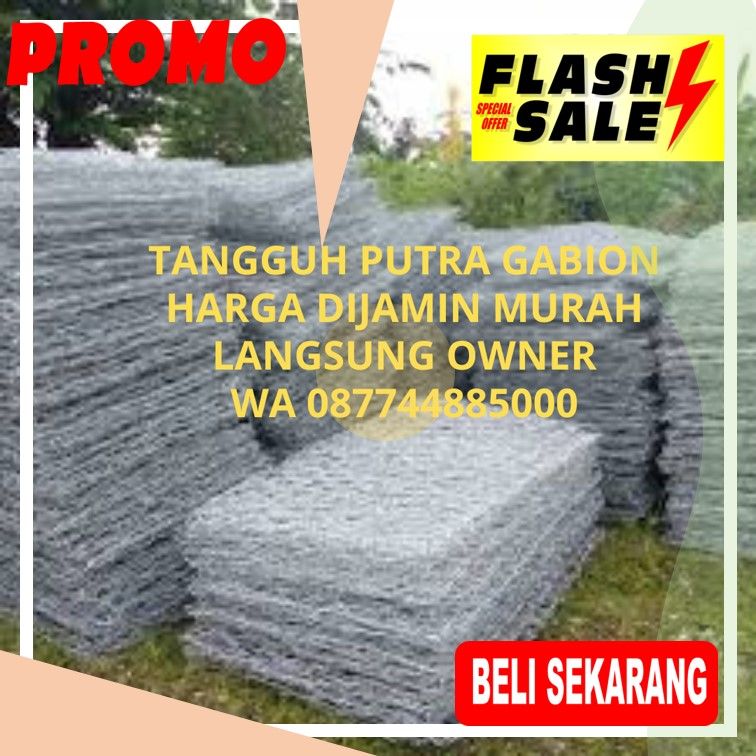    Ssst...! Kawat Bronjong Murah Meriah Langsung dari Juragan di Tapanuli Utara!   Tapanuli Utara Darurat Bronjong? Tenang, Ada Solusi Amanah dari Ahlinya!   Jangan Panik! Kawat Bronjong Berkualitas di Tapanuli Utara, Harga Damai Langsung dari Pemilik!   Rahasia Bronjong Kuat dan Murah