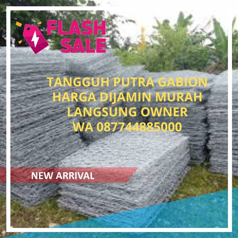    Ssst...! Kawat Bronjong Gunungsitoli Harga Miring Langsung dari Juragan!   Gunungsitoli Butuh Bronjong? Bisikin Aja ke 0877-4488-5000, Harga Jujur!   STOP! Jangan Beli Bronjong Dulu Sebelum Cek Harga Spesial di Gunungsitoli Ini!   Rahasia