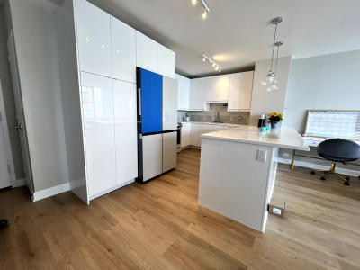 Gold Coast condo fireplace redesign new tile surround 1010 N Lake Shore Drive Chicago