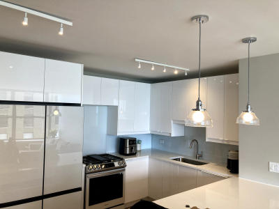 Kitchen detail modern finishes Gold Coast condo remodel Chicago