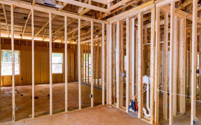 Full kitchen gut renovation