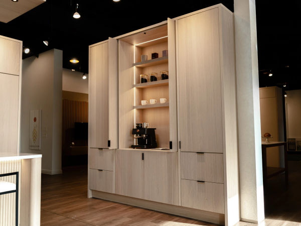 Custom built-in cabinets Wilmette