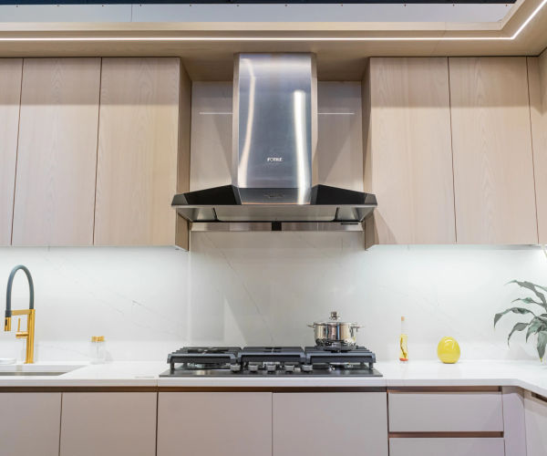 Chicago whole house remodel by Assembly Squad