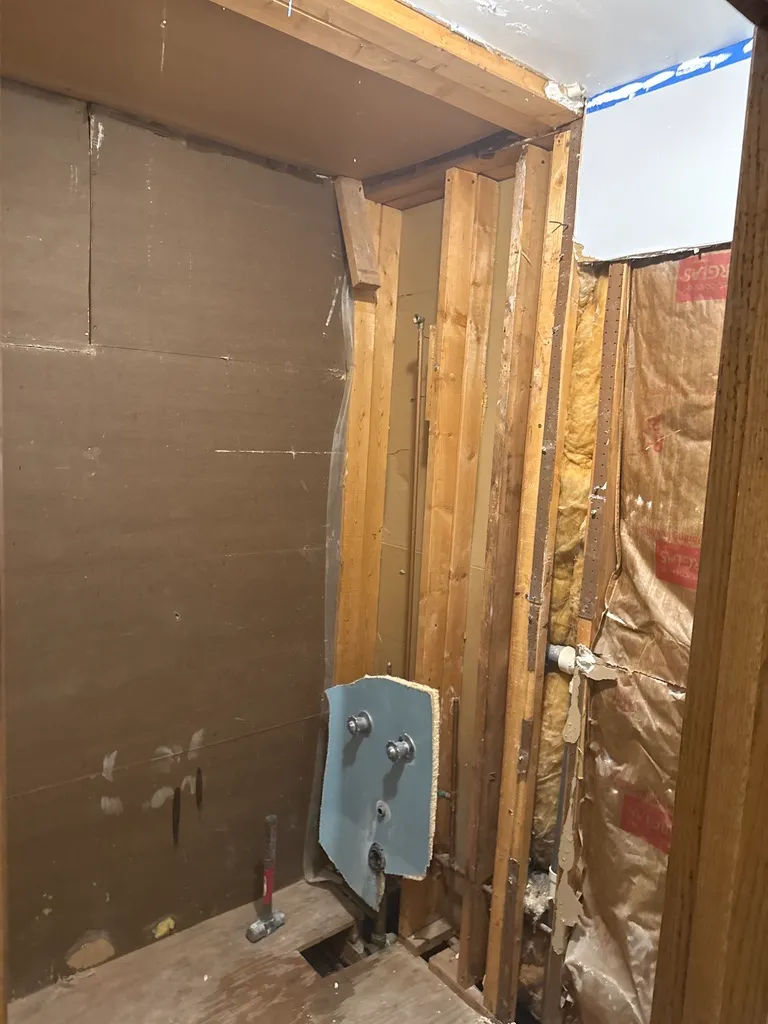 Bathroom demolition