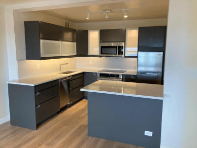 Lakeview IKEA kitchen renovation 2626 N Lakeview Chicago -- budget kitchen under 40k MSI white quartz