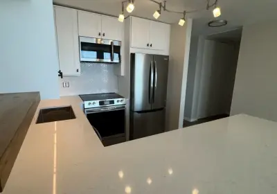 Streeterville condo complete kitchen and bathroom remodel at 111 E Chestnut featuring open-concept design and quartz countertops