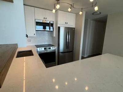 Streeterville open concept kitchen after remodel 111 E Chestnut Chicago 60611 -- quartz countertops wall removed