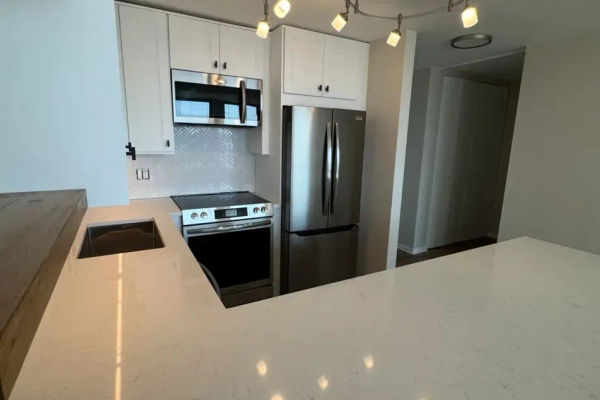 Streeterville luxury condo kitchen renovation near the Magnificent Mile, Chicago 60611