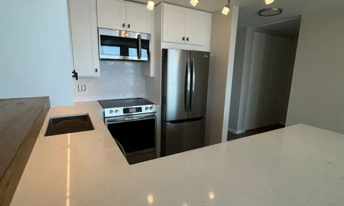 Streeterville Chicago condo kitchen after remodel by Assembly Squad -- open concept, quartz countertops, 60611