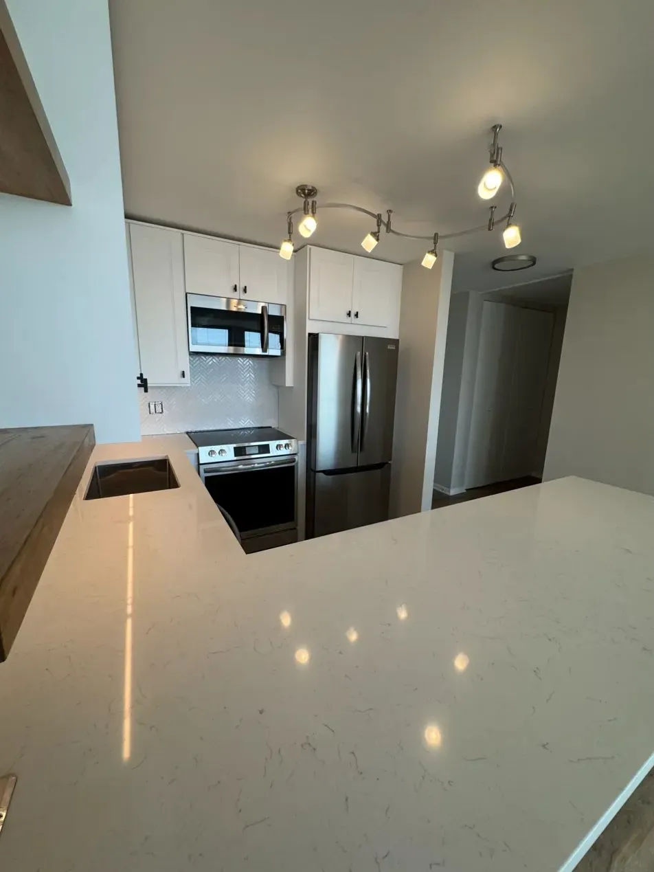 Modern kitchen remodel in Streeterville Chicago featuring open-concept design and quartz countertops