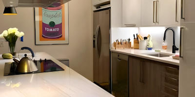Assembly Squad condo remodeling Chicago