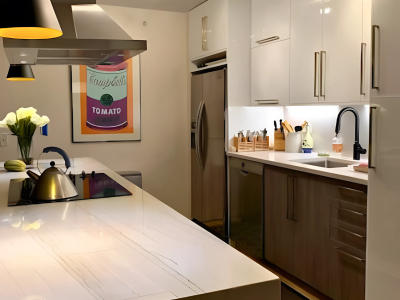 Evanston condo kitchen island after remodel -- open concept bulkhead removed 800 Elgin Rd