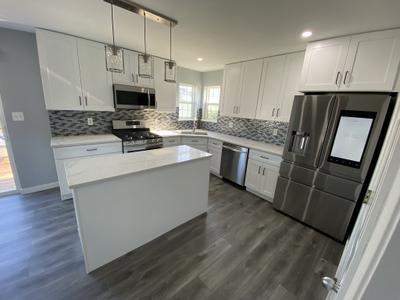 Logan Square kitchen after remodel -- Italian cabinets MSI Tier 1 quartz single-tone modern design Chicago